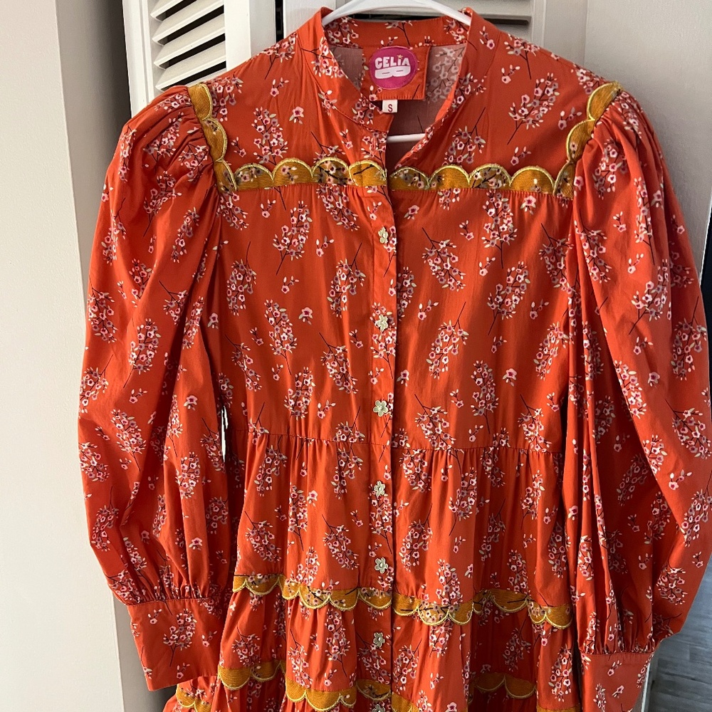 CeliaB dress size S in Excellent condition